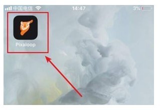 Pixaloop专业版