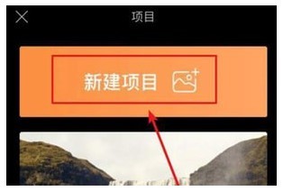 Pixaloop专业版