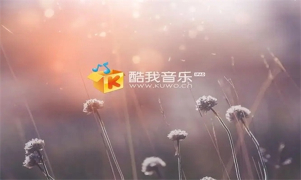酷我音乐盒安卓版