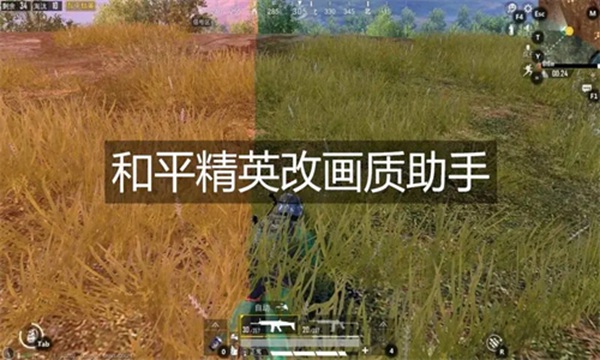画质助手