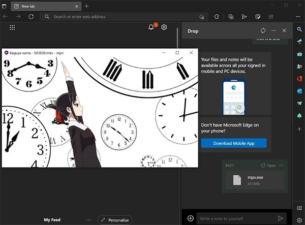 EdgeCanary安卓版