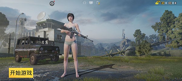 和平精英国际服正版