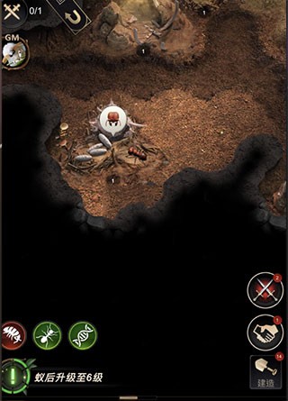 小小蚁国37官服