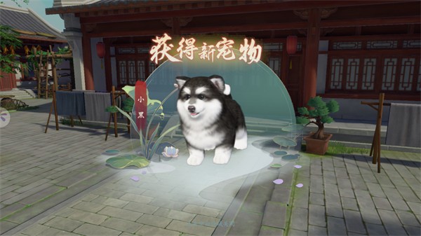 浮生忆玲珑最新版