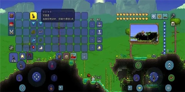 泰拉瑞亚国际服