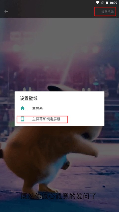 皮皮壁纸免费版