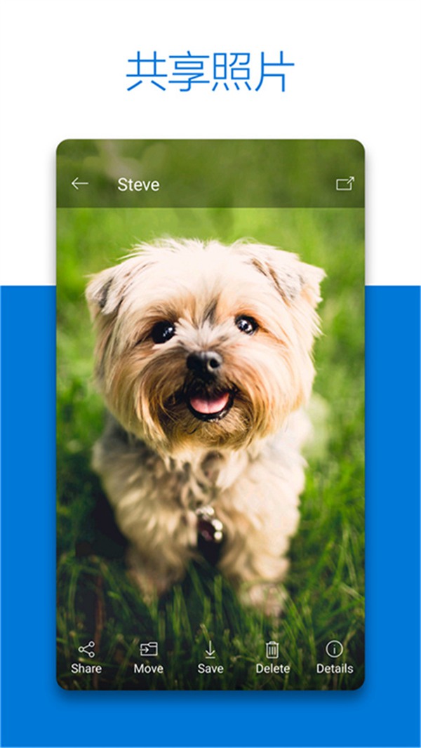 Onedrive最新版