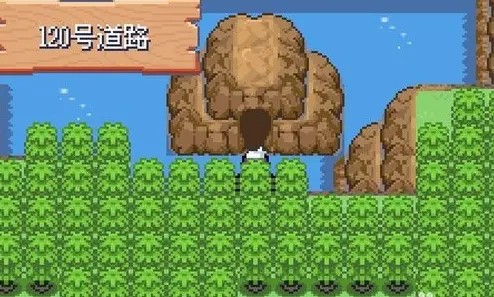 口袋妖怪漆黑的魅影4.5