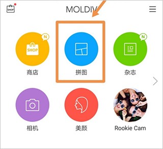 Moldiv