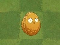 PVZ2国际汉化版