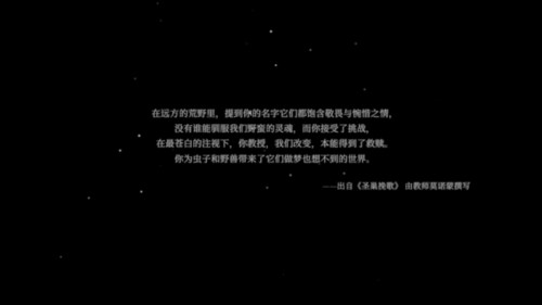空洞骑士国际版