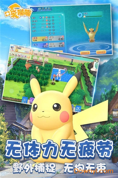 口袋喵喵果盘版v1.2.1 安卓最新版