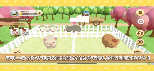 养猪场3D游戏v1.0.8 安卓版